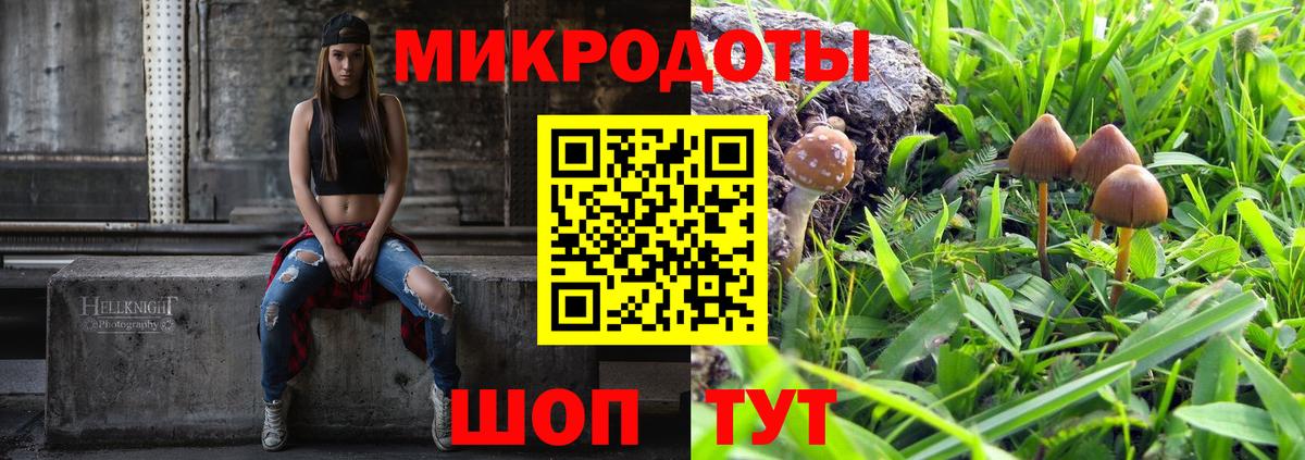 как найти закладки  Вход с VPN  Галлюциногенные грибы мухоморы  Ставрополь  Галлюциногенные грибы GOLDEN TEACHER 